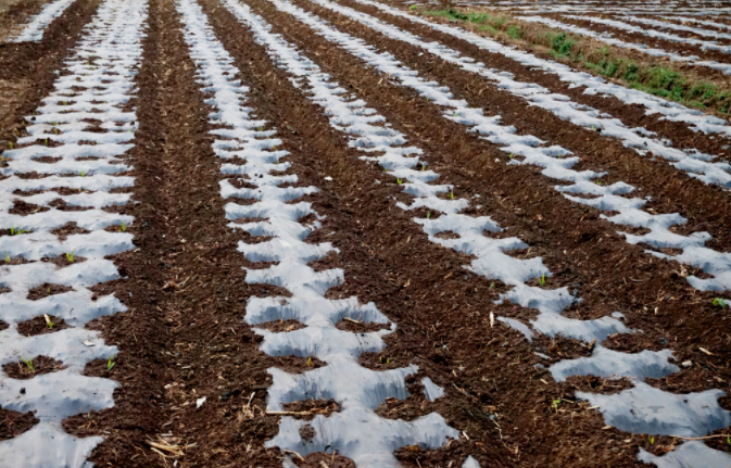 土壤(含水率)水分測定儀在使用時注意事項有哪些 土壤(含水率)水分測定儀在使用時注意事項有哪些