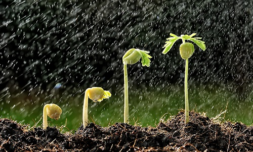 常用土壤水分測量方法詳細介紹 常用土壤水分測量方法詳細介紹
