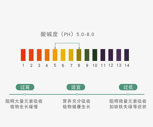 使用土壤PH速測儀之前需要先了解其產(chǎn)品特性 使用土壤PH速測儀之前需要先了解其產(chǎn)品特性